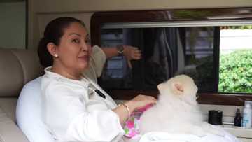 Maricel Soriano, pinasilip ang kanyang customized artista van