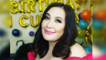 Sharon Cuneta slams price of pork, "maha-high blood ka"