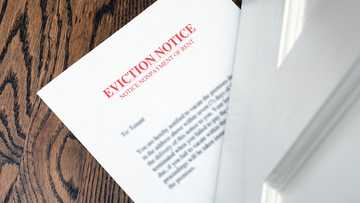 My Boyfriend Hid Our Eviction Notice From Me — I Confronted Him, and He Moved Out Overnight