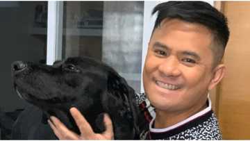 Ogie Alcasid mourns death of his pet dog Ringo: “My heart broke”