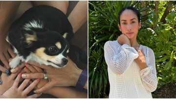 Ina Raymundo mourns death of her pet dog: “We miss you deeply”