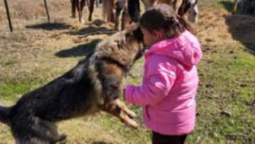 Nico Bolzico gently tells Solenn Heussaff not to worry about pic of Thylane with a huge dog