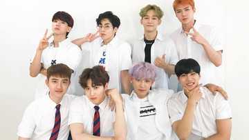 EXO members profile: real names, height, net worth, relationships