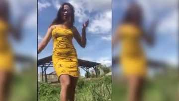 Lady falls into carabao's mudhole while executing slow-mo of "Magandang Dilag" challenge