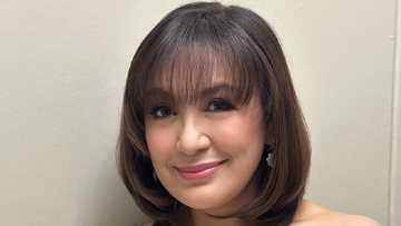 Sharon Cuneta, inihayag kung ano pinakamalaking investment niya sa mga nakaraang taon