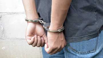 Joint operation halts illegal dog meat trade, man apprehended