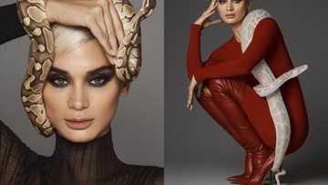 Celebrities react to Pia Wurtzbach's stunning new blonde hairstyle in latest photoshoot