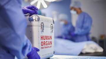 I donated my kidney to my husband — Three weeks later, a stranger exposed him
