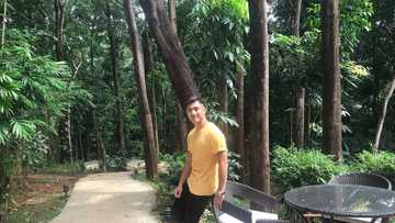 Family, dating, age, and career facts about the talented Filipino actor Rocco Nacino