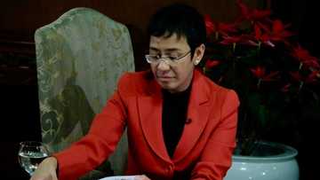 Rappler’s Maria Ressa faces another cyber libel case filed by a university professor