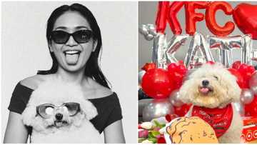 Kathryn Bernardo shows fun KFC moments with pet dog Snowy