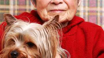 I took my grandma's old dog while my sisters fought for the house — I stumbled upon a fortune