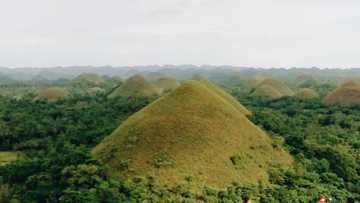 Bohol bans tourists as the province implements ‘community quarantine’