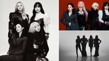 Sandara Park, former bandmates reunite for 2NE1's 15th anniversary photoshoot