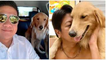 Mark Leviste wants justice for Killua, gives Anthony Solares benefit of the doubt