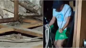 Isang buong pamilya sa Tacloban, binulabog ng hindi imbitadong bisita na dumaan sa kisame ng banyo