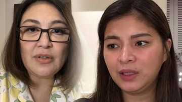 Sharon Cuneta, humingi ng pasensya kay Angel Locsin sa viral na online post