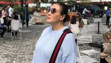 Sharon Cuneta is devastated by husband Kiko & Tito Sotto’s political battle