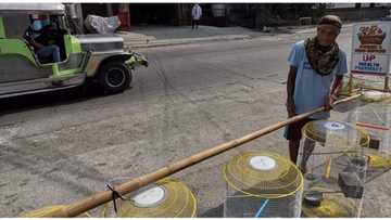 Nag-viral na 65-anyos na gumagawa at naglalako ng bird cage, dinagsa ng tulong