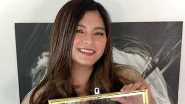 Angel Locsin receives new award from the Philippine Red Cross