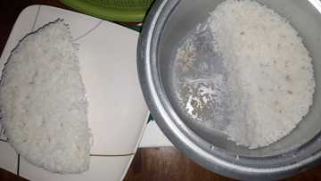 Kanin is life! Netizen, ibinida ang kanyang ‘diet’ at ‘half rice’