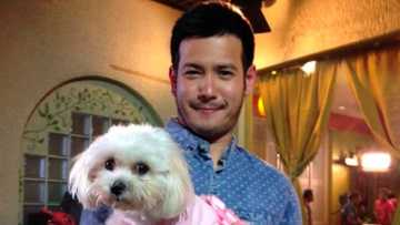 John Prats at Isabel Oli, labis ang pighati sa pagpanaw ng kanilang unang 'baby' na si Uber