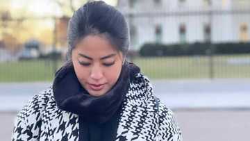 Gretchen Ho, ni-retweet pics ng umano'y dalawa pang resorts na itinayo sa itaas ng Chocolate Hills