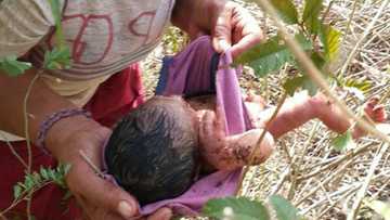 Video ng pag-rescue sa sanggol na iniwang iyak nang iyak sa damuhan nag-viral