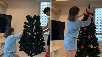 Robi Domingo, Maiqui Pineda, nag-setup ng first Christmas tree sa kanilang bahay