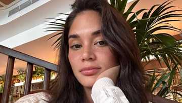 Pia Wurtzbach, nag-react sa “praying for your divorce soon” message sa kanya ng basher