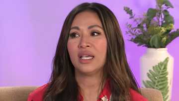 Ella V, dating Viva Hot Babes member, may anim nang caregiving centers sa Amerika