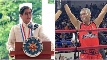Marcos considering Torre for another post, Remulla says