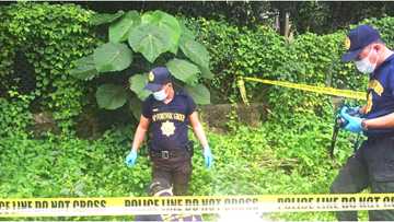 5 bungo ng tao, natagpuan sa loob ng kahon sa isang masukal na lugar sa SJDM