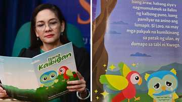 Risa Hontiveros, may tatlong salitang binigkas pagkatapos i-scan ang libro ni Sara Duterte