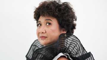 Eugene Domingo, isiniwalat kung sinong mga heartthrob ang gusto niyang makatrabaho