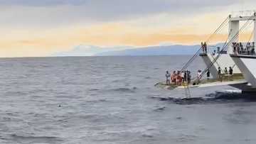 Lalaki na tumalon mula barko papuntang Bohol, nailigtas matapos tanggihan ang life ring