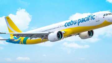 Cebu Pacific, naglabas na ng pahayag ukol sa nag-viral na eksena kung saan sangkot ang MSO