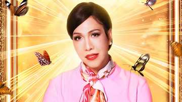Filipino film critic gives a review of Vice Ganda's "And The Breadwinner Is"