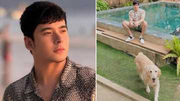 Pet crematorium, nag-isyu ng apology matapos ang reklamo ni Christian Bables ukol sa aso niya