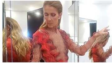 Celine Dion's fans worry for the singer's health after fashion week appearance