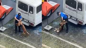 Viral na video ng K9 handler, umani ng aksyon mula sa Meralco