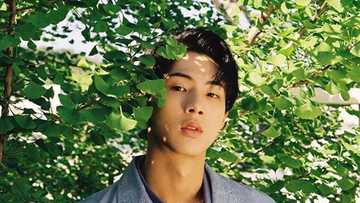 Interesting facts about the South Korean actor Ji Soo you need to know