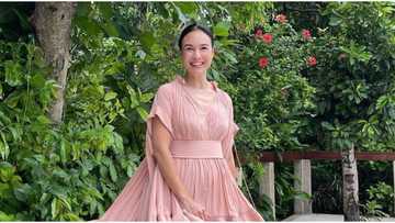 DOJ issues subpoenas vs Atong Ang, Gretchen Barretto & others