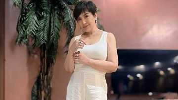Sharon Cuneta, naantig ang puso sa video ng pagkikita nina Kiko Pangilinan at Helen Gamboa