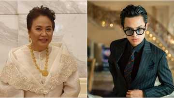 Rowena Guanzon urges BIR to check Josh Mojica's tax records after claiming he's a billionaire