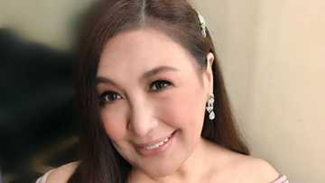 Sharon Cuneta sends message to Gabby Concepcion about KC; calls him “Papi”