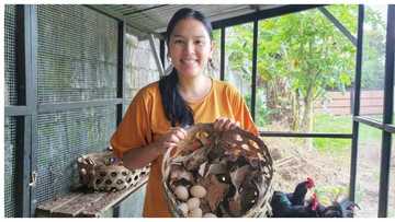 Neri Miranda, naglabas ng saloobin ukol sa pamba-bash sa ₱1,000-weekly meal plan nya