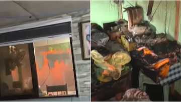 5 dogs die after being trapped inside a burning house