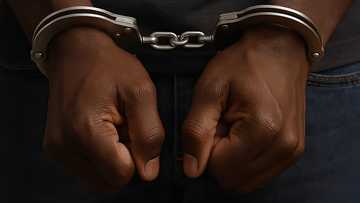 Rent-a-car na tinangay noong Semana Santa, natagpuang chop-chop; apat na suspek arestado