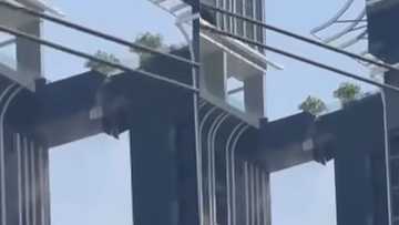 Vid ng ama tumalon sirang tulay 600ft itaas ng lupa para mapuntahan pamilya gitna ng lindol, viral